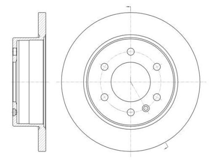 Гальмівний диск задн. Crafter/W906/W907/W910 (06-21) WOKING D6103500