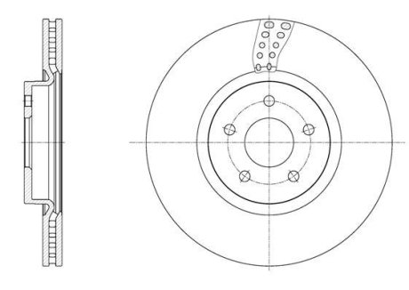 Диск тормозной передний (кратно 2) (Remsa) Ford Kuga II / Connect II (D61561.10) WOKING D6156110 (фото 1)